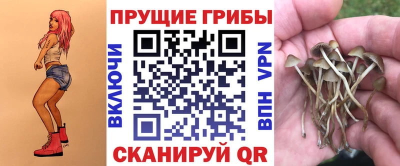 Псилоцибиновые грибы MAGIC MUSHROOMS  Полярный 